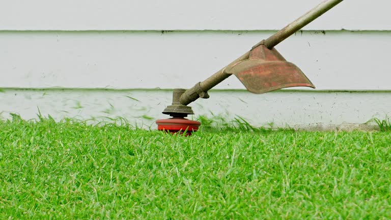 Best Organic Lawn Care Solutions  in Spooner, WI